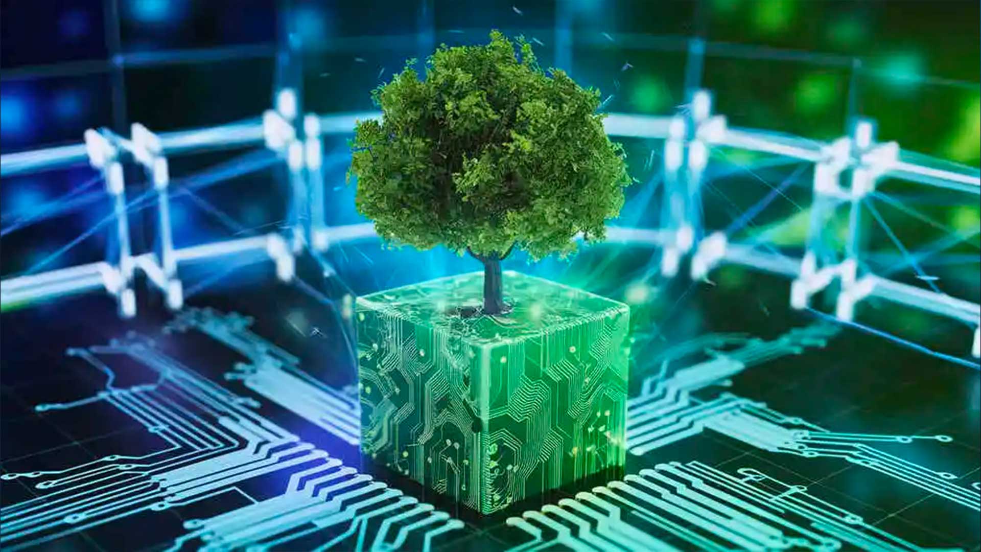Dalla tracciabilità al mercato dell’energia pulita: Blockchain e green tech cambiano la sostenibilità